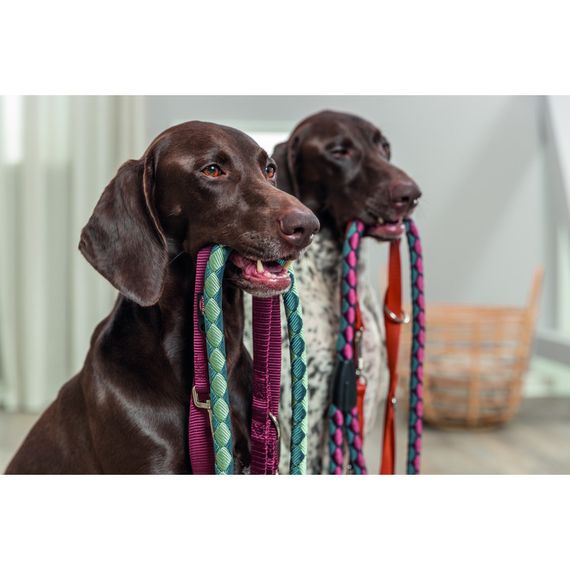 Повідок Trixie Premium для собак регульований двошаровий XS–S 2 м 15 мм бордовий | Зображення 2