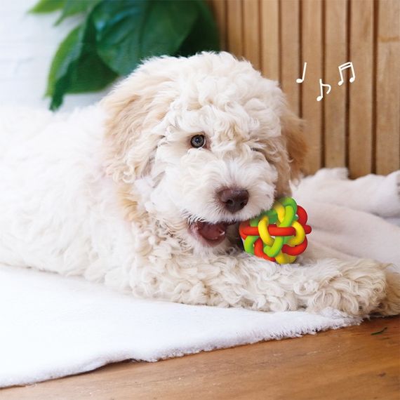 Іграшка для собак DoggyMan Macaroni Rubber Ball, 7.5 см | Зображення 2