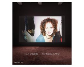 Книги з фотографії Нан Голден Nan Goldin: This Will Not End Well, Photographs альбоми відомих фотографів