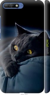 Чохол на Huawei Y6 2018 Димчастий кіт "825m-1637-2448"