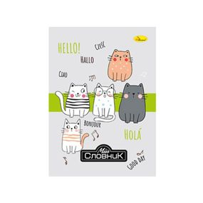 Тетрадь-словарь по иностранному языку "Dream City" АП-0503-2