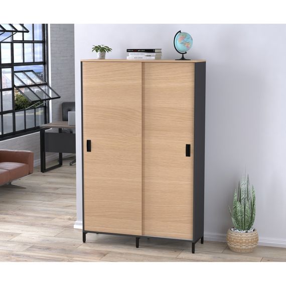 Шкаф офисный раздвижной Loft Design LS-1200-1900 антрацитборас | Зображення 1