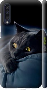 Чохол на Samsung Galaxy A50 2019 A505F Димчастий кіт "825m-1668-2448"