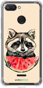 Чохол на Xiaomi Redmi 6 Єнотик з кавуном "4605sp-1521-2448"