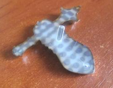 Кокарда "Танковые войска" (пластик) | Зображення 2