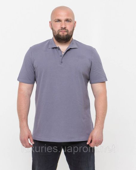 Сіра Футболка чоловіча ПОЛО — Сіра футболка поло з коротким рукавом 4XL - тканина лакоста | Зображення 2