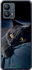 Чохол на Motorola Moto G53 Димчастий кіт "825u-3047-2448"