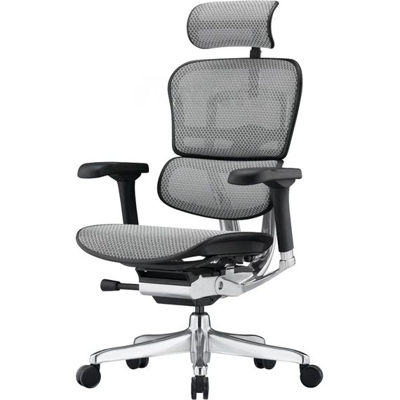 Кресло компьютерное ERGOHUMAN ELITE 2 (EHE2-AB-HAM-5D-L) сетка T-168-B2 NATURAL | Зображення 4