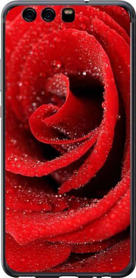Чехол на Huawei P10 Красная роза "529u-780-17620"