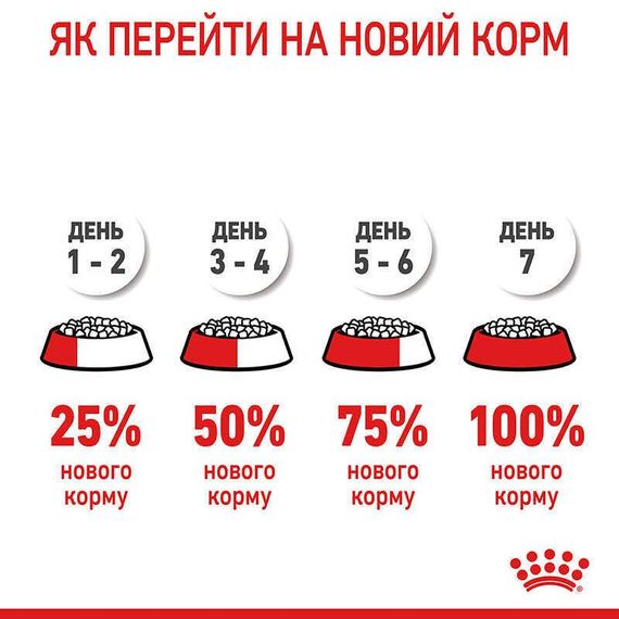 Сухий корм для котів Royal Canin Hair & Skin для підтримки здоров’я шкіри та блиску шерсті, 400 г | Зображення 6