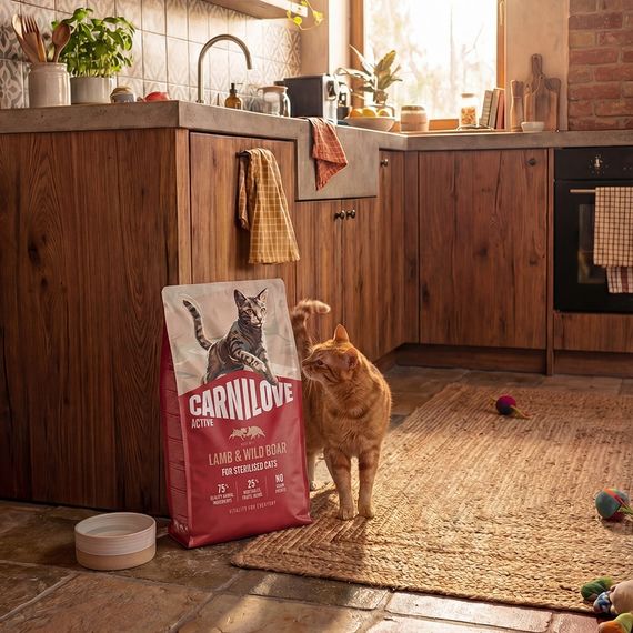 Корм сухий Carnilove Active Lamb & Wild Boar Sterilised для стерилізованих котів ягня і дикий кабан 400 г | Зображення 7