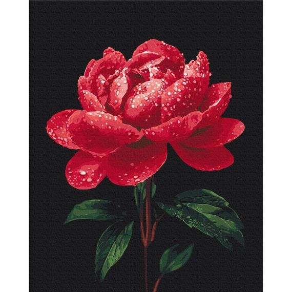 Картина за номерами "Півонії в сяйві роси" BS54148, 40х50 см