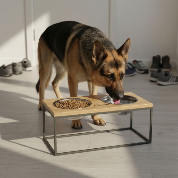 Миски на подставке для больших собак Hollky Base XL20 (2 × 1,8 л) BXL20-522620-GRNT | Зображення 1