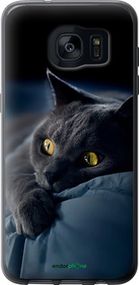 Чохол на Samsung Galaxy S7 Edge G935F Димчастий кіт "825u-257-2448"