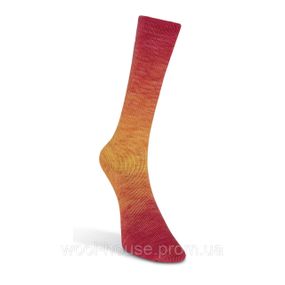 Шкарпеткова пряжа Laines du Nord Watercolor Sock, 202