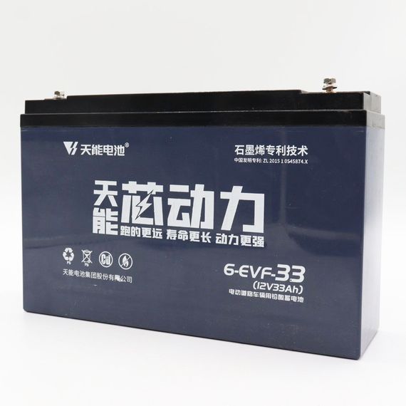 Тяговий акумулятор AGM з високою стійкістю до глибоких розрядів XPRO 6-EVF-33 (234576285_2457) | Зображення 4