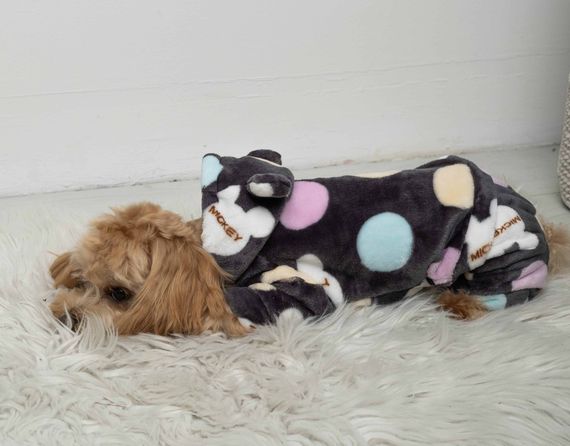 Костюм махровий Міккі D-194