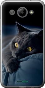 Чохол на Huawei Y3 2017 Димчастий кіт "825u-991-2448"