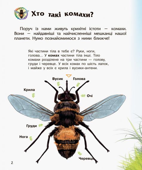 Детская энциклопедия про насекомых 614014 для дошкольников | Зображення 6