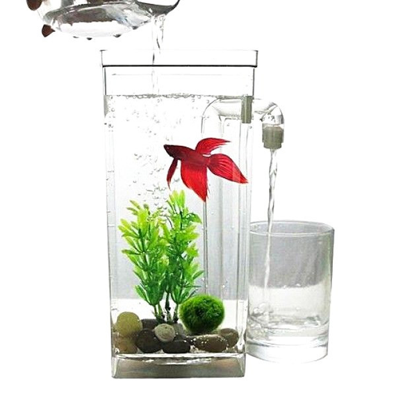 Акваріум самоочищається My Fun Fish для риб