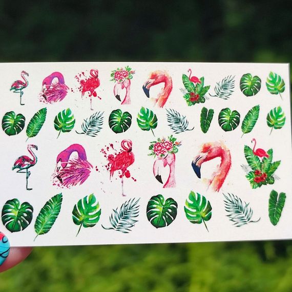 Слайдер B-14 на водяній основі (5x8см)