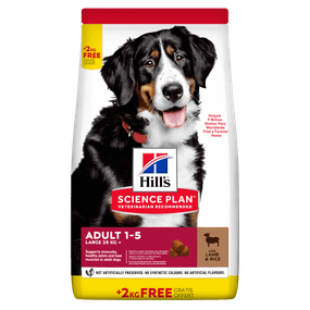 Hill’s SP Adult Large Breed Сухий корм для дорослих собак великих порід, з ягням і рисом, BONUS Bag -12+2кг