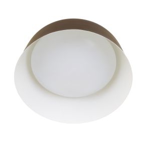 Светильник настенно-потолочный светодиодный накладной BL-598C/24W WW COF