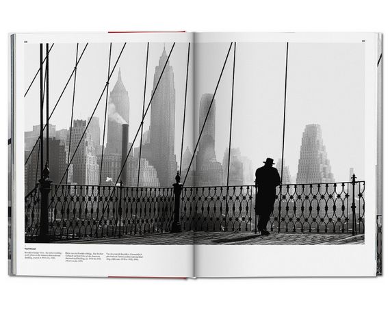 Книга New York. Portrait of a City | Зображення 3
