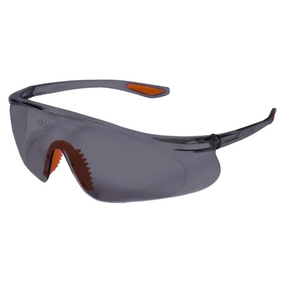 Окуляри захисні Ultra VISION Active INEGVA