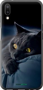 Чохол на Meizu E3 Димчастий кіт "825u-1518-2448"