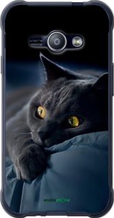 Чохол на Samsung Galaxy J1 Ace J110H Димчастий кіт "825t-215-2448"