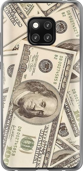 Чехол на Huawei Mate 20 Pro Доллары "3016u-1567-17620"