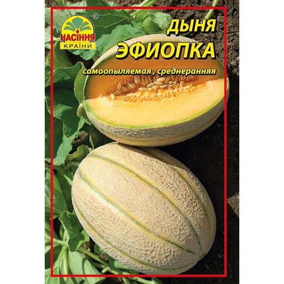 Насіння дині Ефіопка 1 г (Насіння країни)