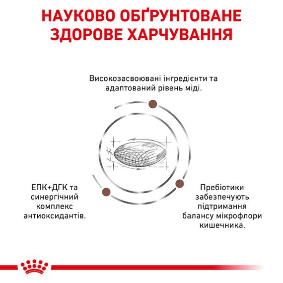 Сухий корм для собак із захворюваннями печінки Royal Canin Hepatic Canine, 7 кг | Зображення 2