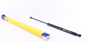 Амортизатор кришки багажника Audi A4 01-04 GS0226  430719022600