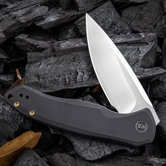 Ніж складний Weknife Kitefin 2001G | Зображення 1
