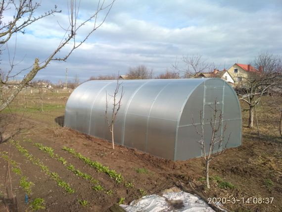 Теплица "СТАНДАРТ" 3*12*2 (ш.д.в.) 36кв.м., покрытая поликарбонатом 6мм, от производителя | Зображення 3