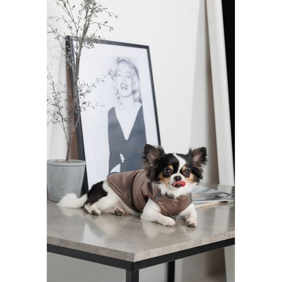 Жилет Pet Fashion Hardy для собак утеплений водонепроникний з отвором для повідця бежевий розмір XL | Зображення 6