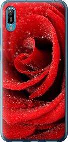 Чехол на Huawei Y6 2019 Красная роза "529u-1666-17620"