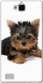 Чехол на Huawei Honor 3C Щенок йоркширского терьера "931u-307-17620"