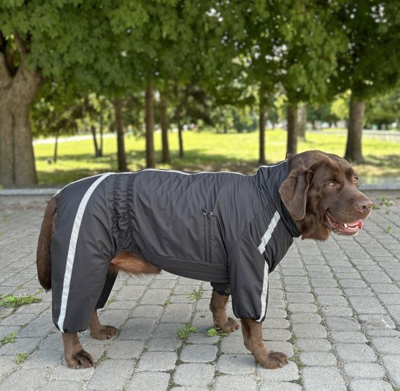 Дощовик Спорт на флiсi чорний MF-33 | Зображення 2