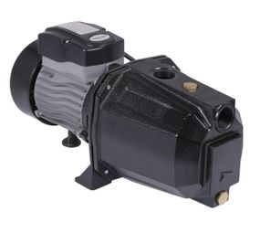 Насос самовсмоктувальний відцентровий Thermo Alliance D-JETm100M