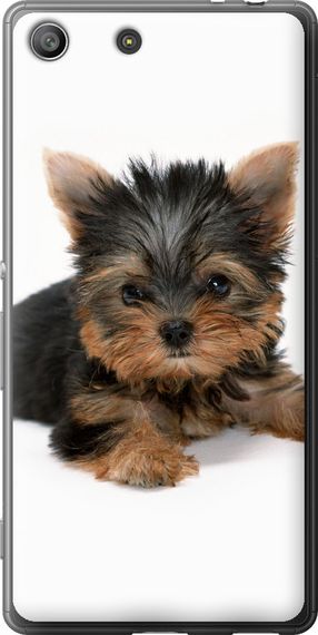 Чехол на Sony Xperia M5 E5633 Щенок йоркширского терьера "931u-217-17620"