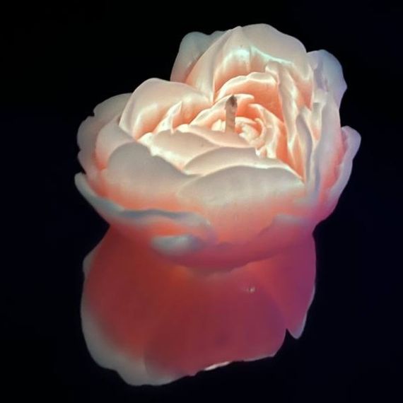 Cвiчка люмінісцентна низькотемпературна GlowKink помаранчева, М sexstyle