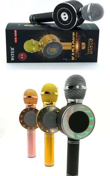 Караоке мікрофон Wster WS-669 бездротовий мікрофон із вбудованим динаміком | Зображення 5