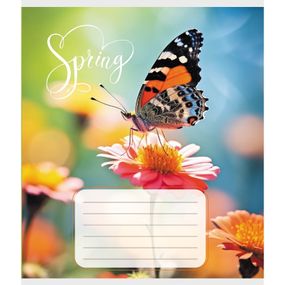 Тетрадь ученическая "Бабочка весной" 018-530216K-3 в клеточку, 18 листов