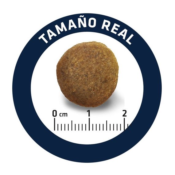 Сухий корм для собак породи німецька вівчарка Advance Maxi German Shepherd, 12 кг | Зображення 4