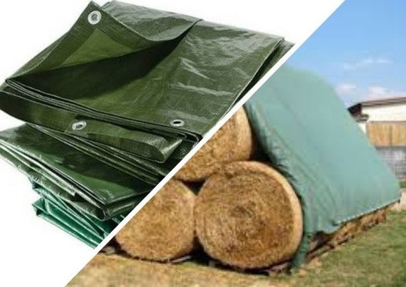 Тент універсальний "AgroStar"60  6м*8м синій | Зображення 2