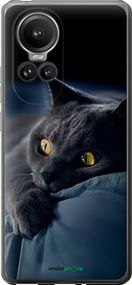 Чохол на Oppo Reno10 Pro Димчастий кіт "825u-3109-2448"