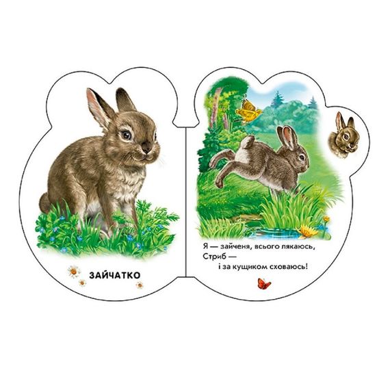 Картонна книжечка для найменших Малята : У лісі 411017 аудіо-бонус | Зображення 1